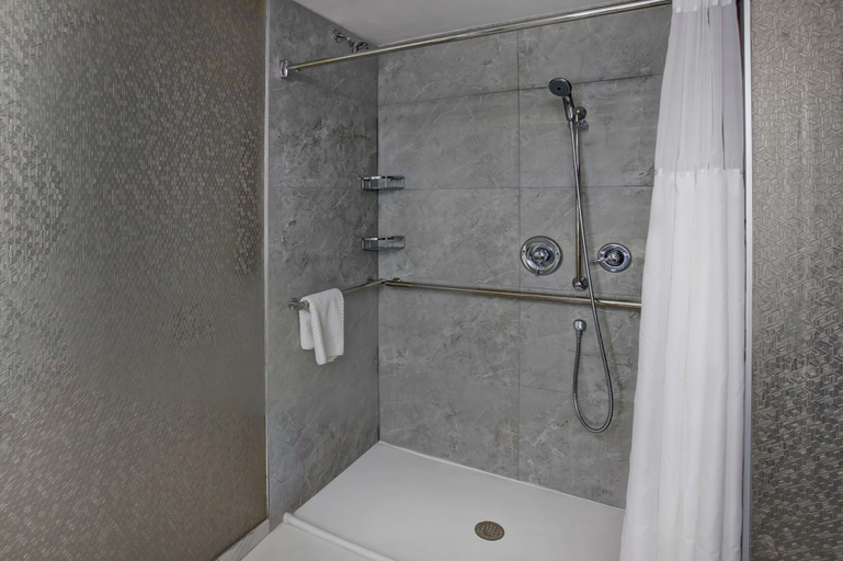 Bathroom 5, Embassy Suites Syracuse, Onondaga