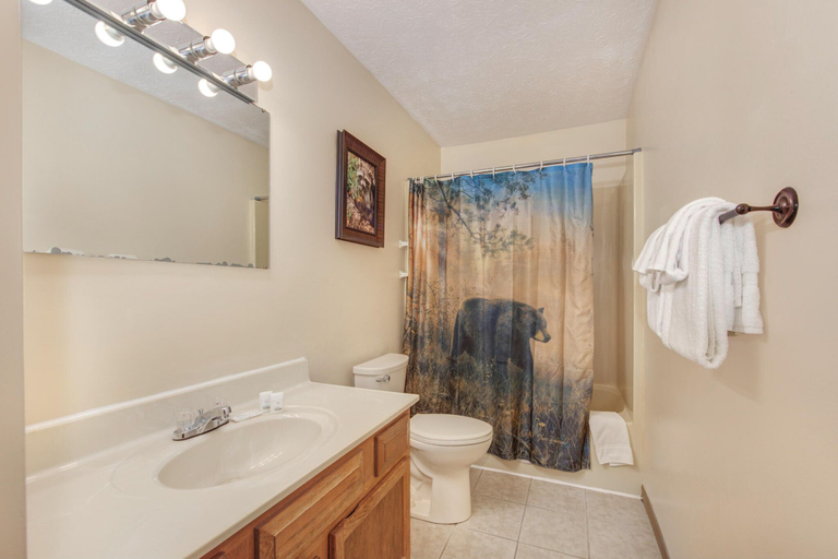Bathroom 4, Smoky Bear Hideout, Sevier