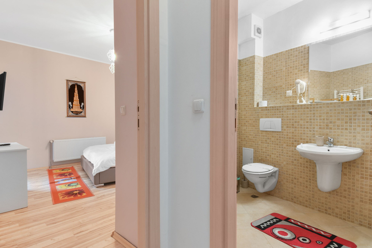 Bathroom, Matteri, Sinaia