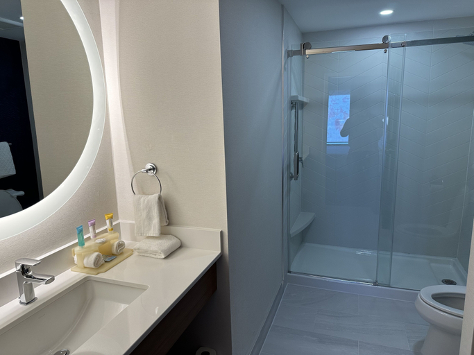 Bathroom 4, Fairfield by Marriott Inn & Suites Newmarket, York
