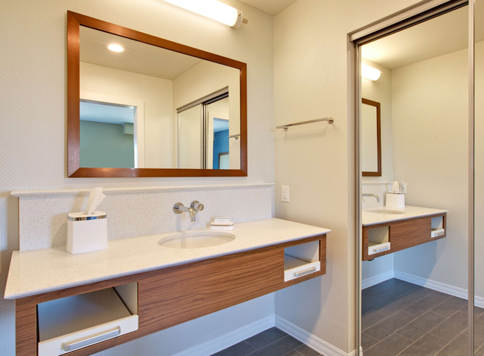 Bathroom 3, Hampton Inn Snyder TX, Scurry