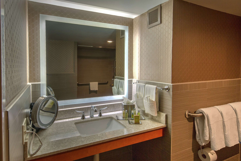 Bathroom 5, DoubleTree by Hilton Hotel Memphis, Shelby
