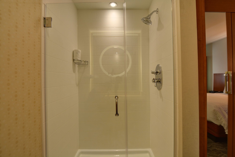 Bathroom 3, SpringHill Suites by Marriott Denver Anschutz Medical Campus, Adams