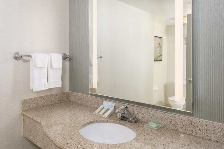 Bathroom 4, Hilton Garden Inn Scottsdale North/Perimeter Center, Maricopa