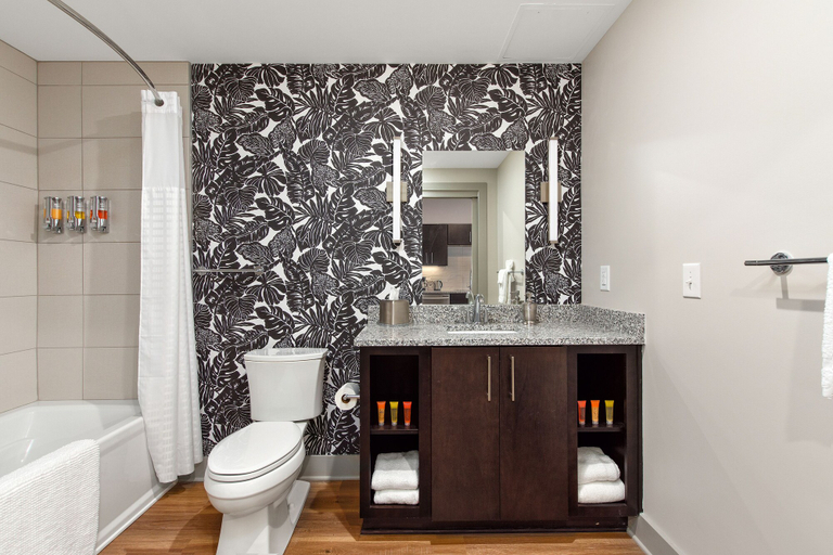 Bathroom 3, River Row Flats, Buncombe