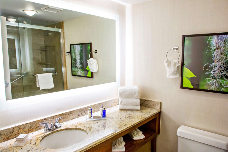 Bathroom 4, Hilton Ocala, Marion