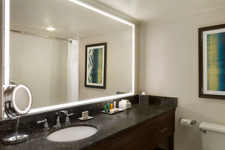 Bathroom 5, Hilton Fort Collins, Larimer
