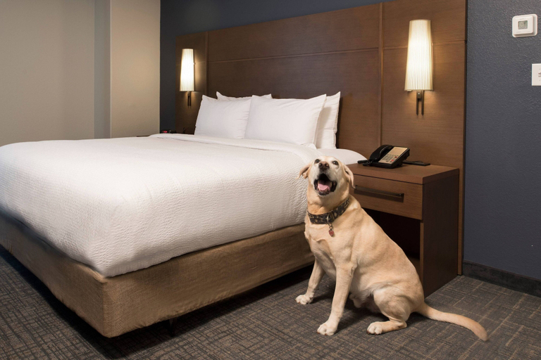 Bedroom 4, Residence Inn by Marriott Memphis Downtown, Shelby