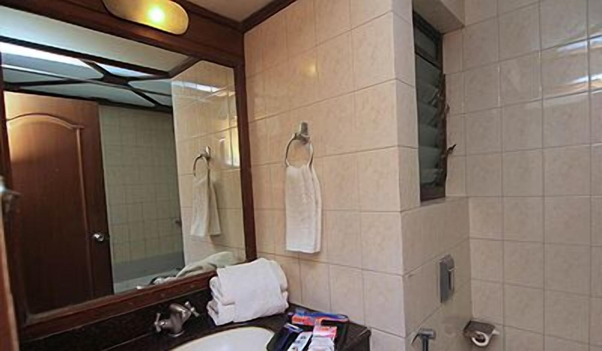 Bathroom, Hotel The Metropole, Pune