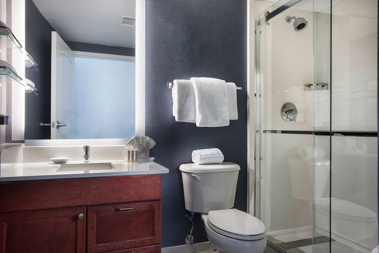 Bathroom 5, Residence Inn by Marriott Memphis Downtown, Shelby