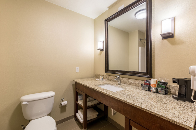 Bathroom 5, Comfort Suites Burlington, Des Moines