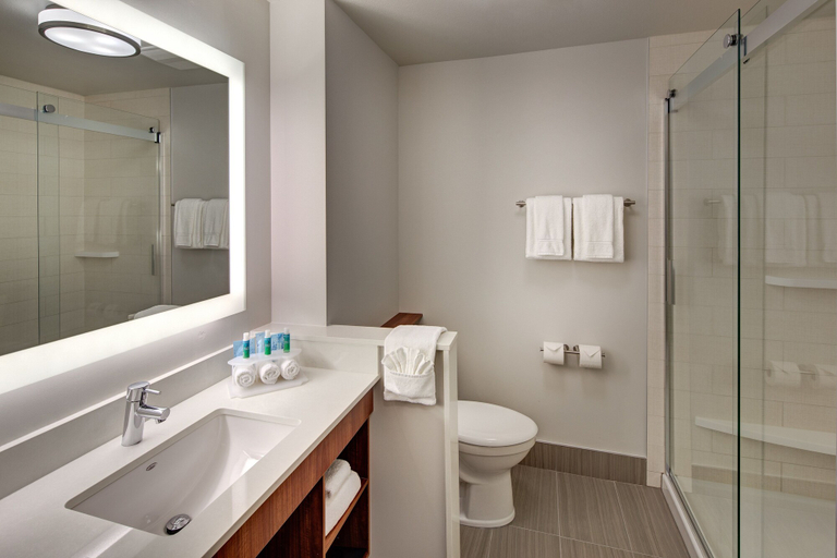 Bathroom 5, Holiday Inn Express & Suites TERRACE by IHG, Kitimat-Stikine