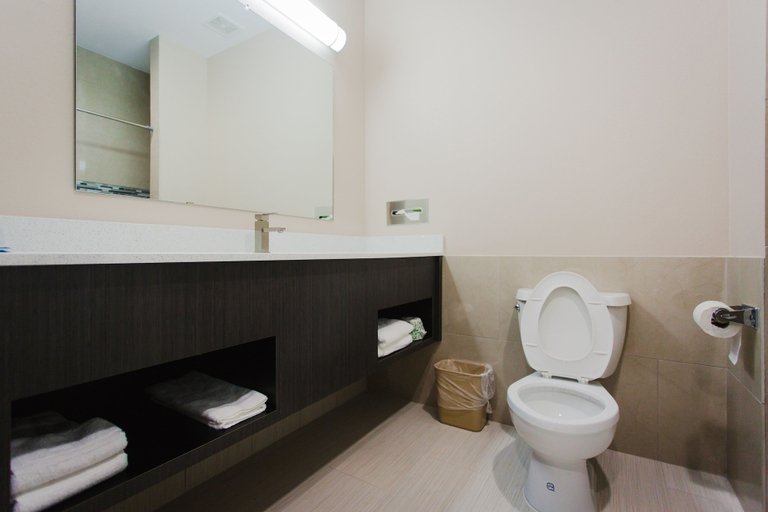 Bathroom 3, Palace Inn and Suites - Willowbrook Mall, Houston