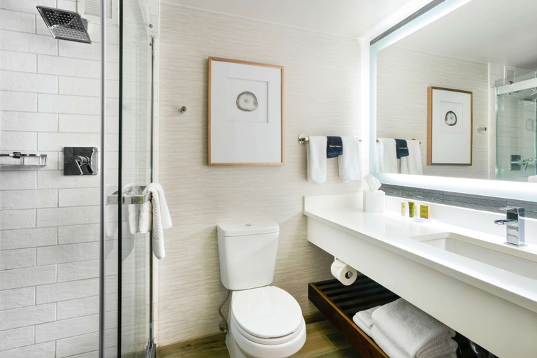 Bathroom 4, Hilton Denver City Center, Denver