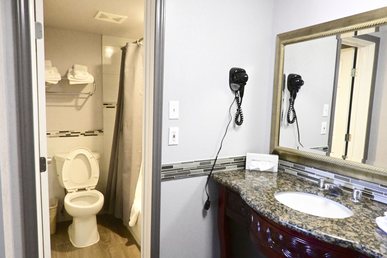 Bathroom 2, R Nite Star Hotel, Arlington