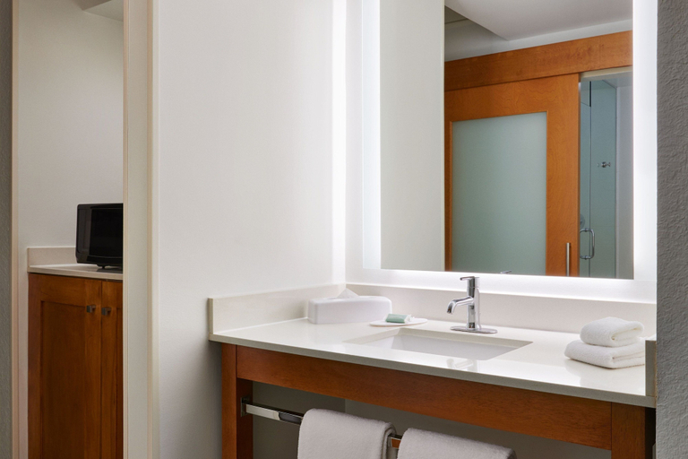 Bathroom 4, SpringHill Suites San Antonio Downtown/Riverwalk Area, Bexar