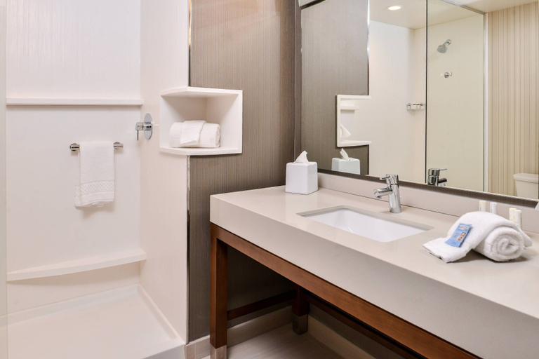 Bathroom 4, Courtyard by Marriott Charlotte Northlake, Mecklenburg