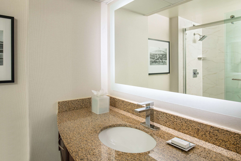 Bathroom 4, Hilton Greenville, Greenville