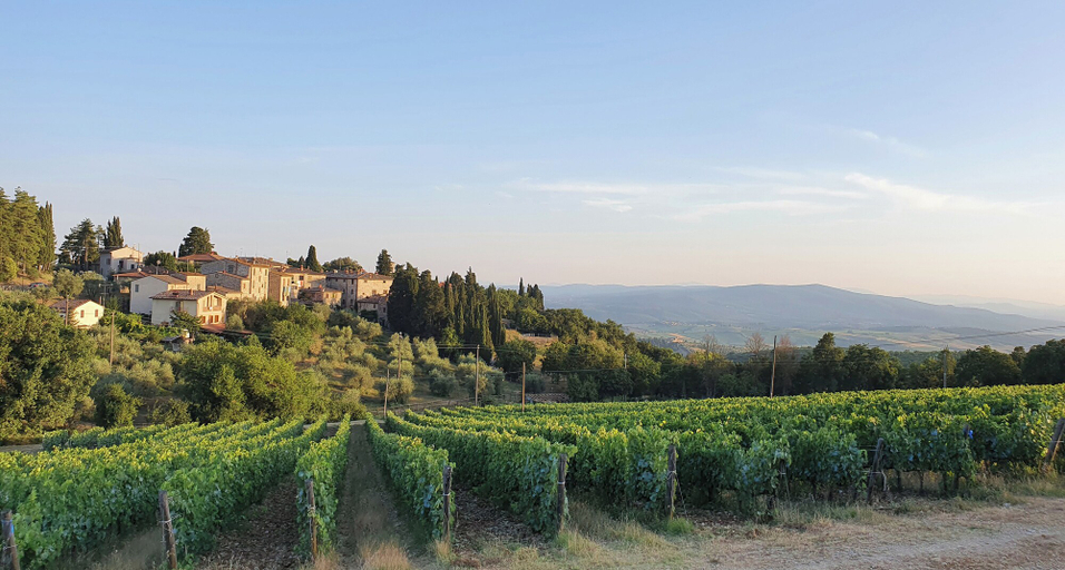 Exterior & Views 2, Il Nespolo Charming Apartment Fonterutoli, Siena