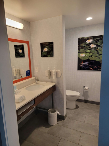 Bathroom 4, Hampton Inn & Suites Erie Bayfront, Erie