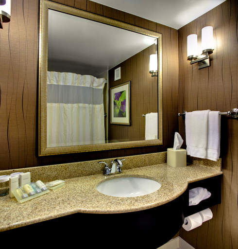 Bathroom 4, Hilton Garden Inn Raleigh-Durham Airport, Wake