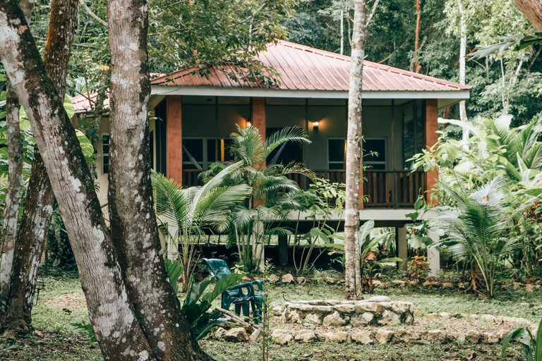 Exterior & Views 2, The Cabins at Monkey Fall