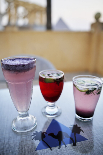 Food & Drinks 4, Grand Pyramids View Guesthouse, Al-Ahram