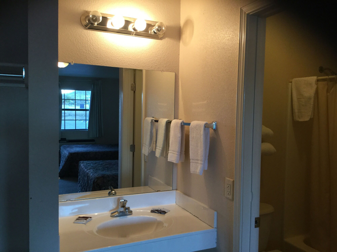 Bathroom 4, Americana Inn, Hudspeth