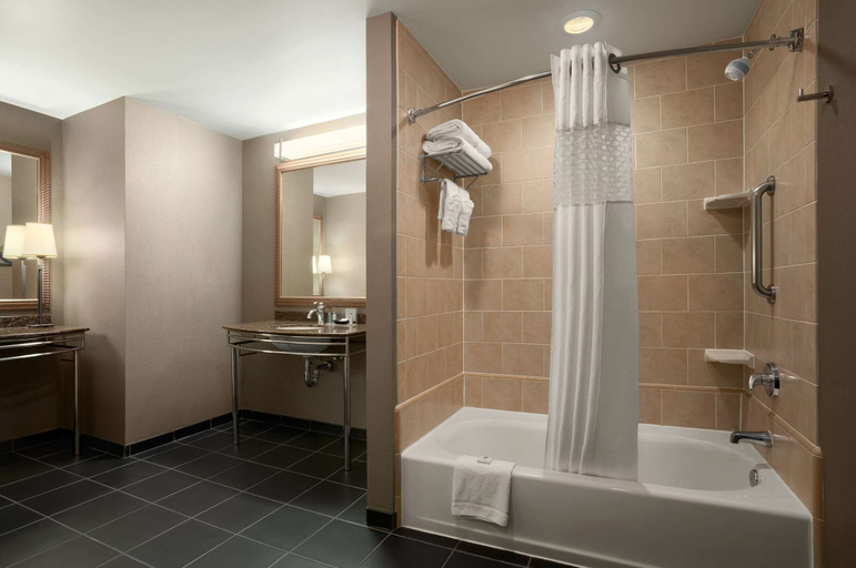 Bathroom 4, Hampton Inn & Suites Ogden, Weber