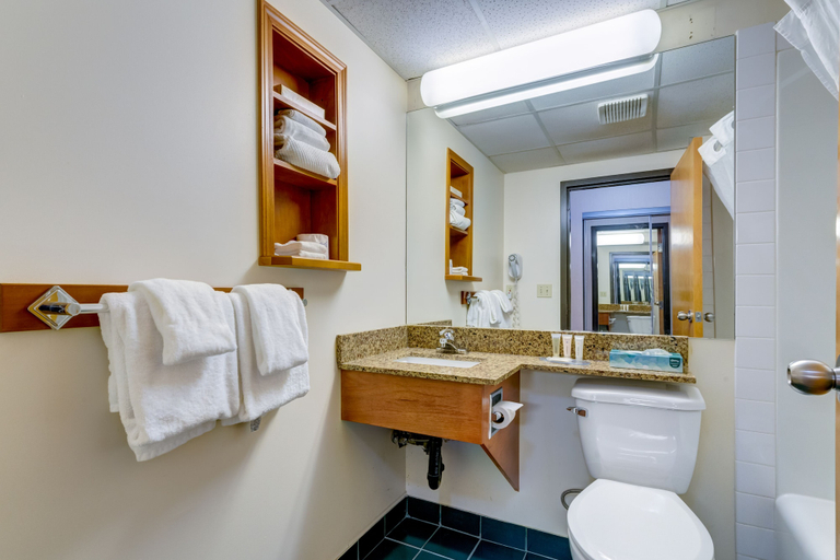 Bathroom 5, Chateau Canmore, Division No. 15