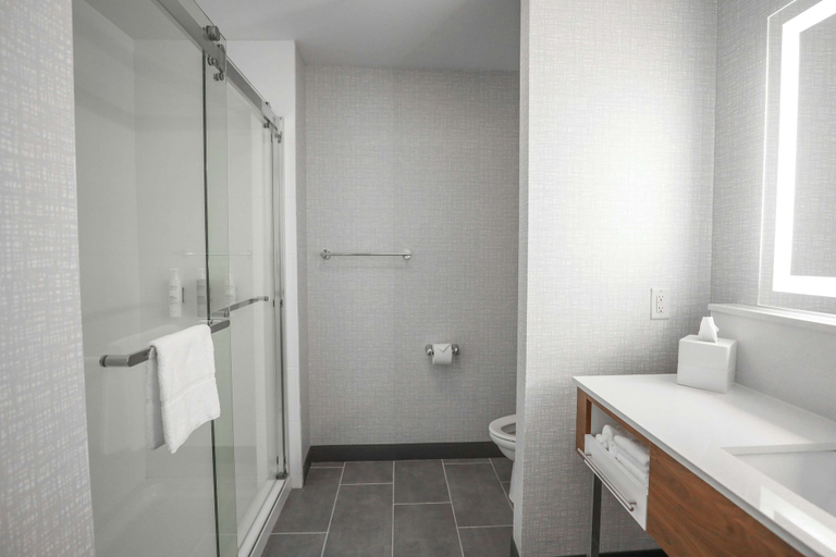Bathroom 4, Hampton Inn & Suites Bay City, TX, Matagorda