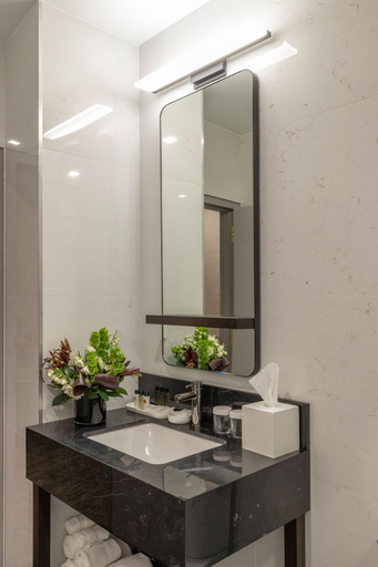 Bathroom 5, Broadway Plaza Hotel, New York