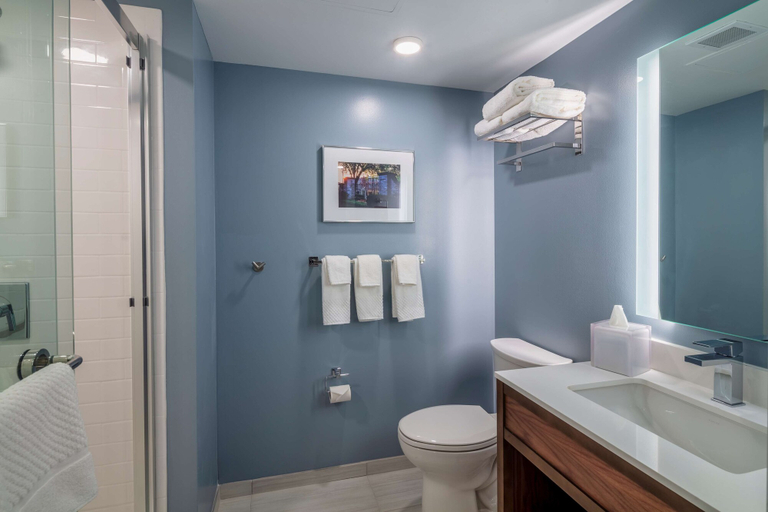 Bathroom 4, Scholar State College, Tapestry Collection by Hilton, Centre