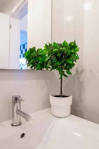 Bathroom 4, Casa Azul Sagres - Rooms & Apartments, Vila do Bispo