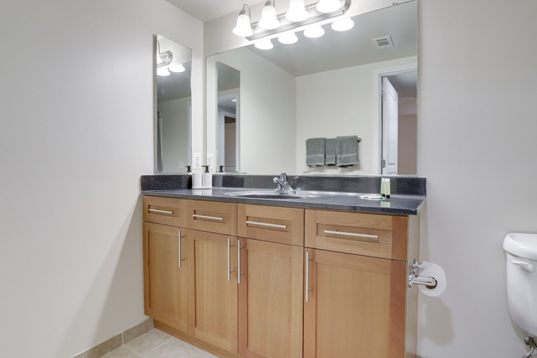 Bathroom 4, Great 2BR Condo in Pentagon city, Arlington