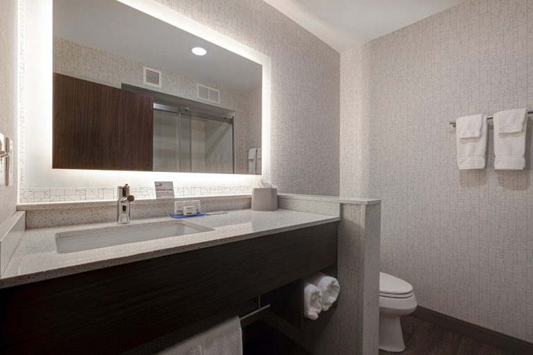 Bathroom 3, Holiday Inn Express & Suites ANN ARBOR - UNIVERSITY SOUTH by IHG, Washtenaw