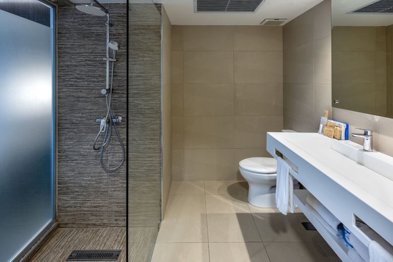 Bathroom 4, W&P Santo Domingo, Distrito Nacional
