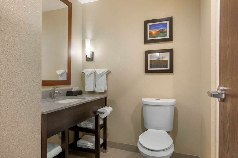 Bathroom 5, Comfort Inn & Suites Euless DFW West, Tarrant