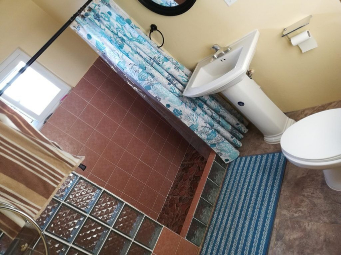 Bathroom 4, Coral Turtle