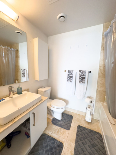 Bathroom, Luxury 2 Bedroom Lakeview, Toronto