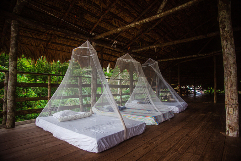 Bedroom 2, Ditsowou Lodge & Tours, Talamanca