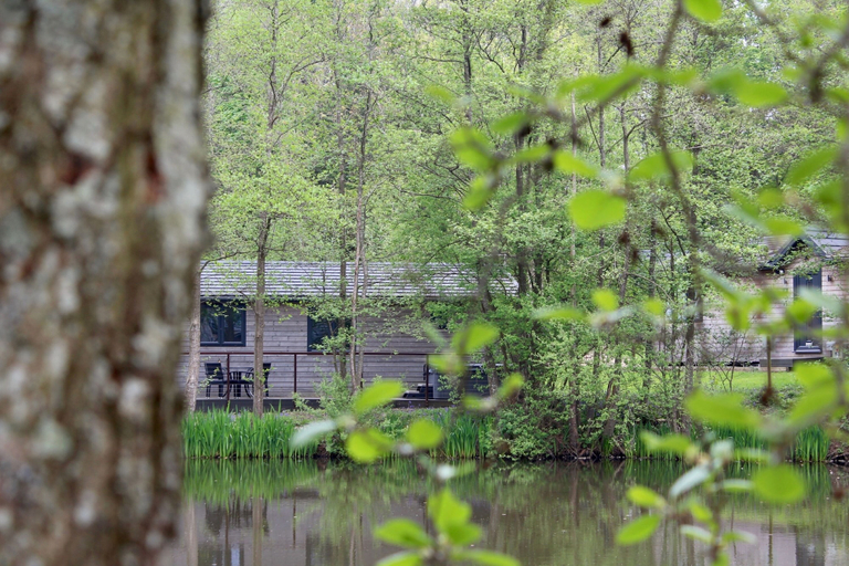 Others, Warren Wood Country Park, East Sussex