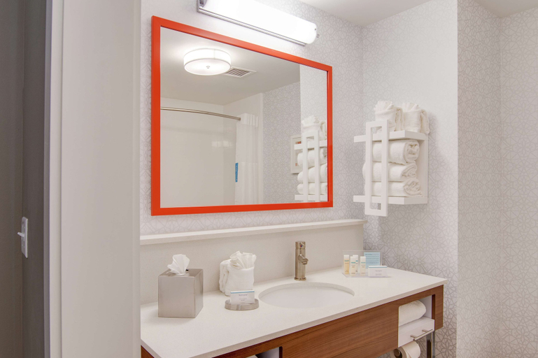 Bathroom 4, Hampton Inn & Suites Nashville North Skyline, Davidson