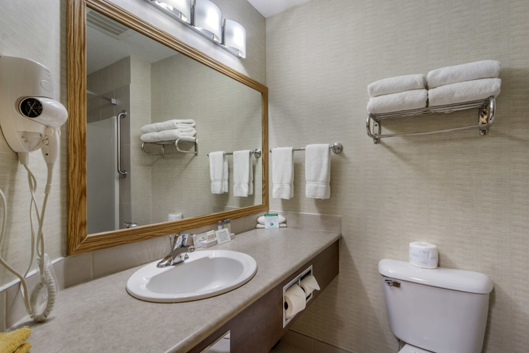 Bathroom 4, Devonian Hotel & Suites, Division No. 18