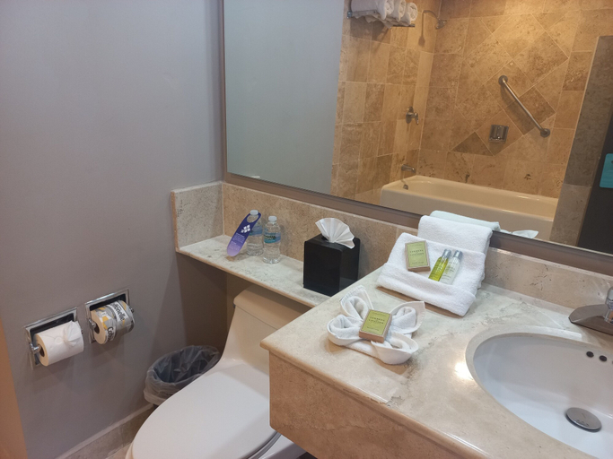 Bathroom 4, Hilton Garden Inn Boca del Rio Veracruz, Veracruz