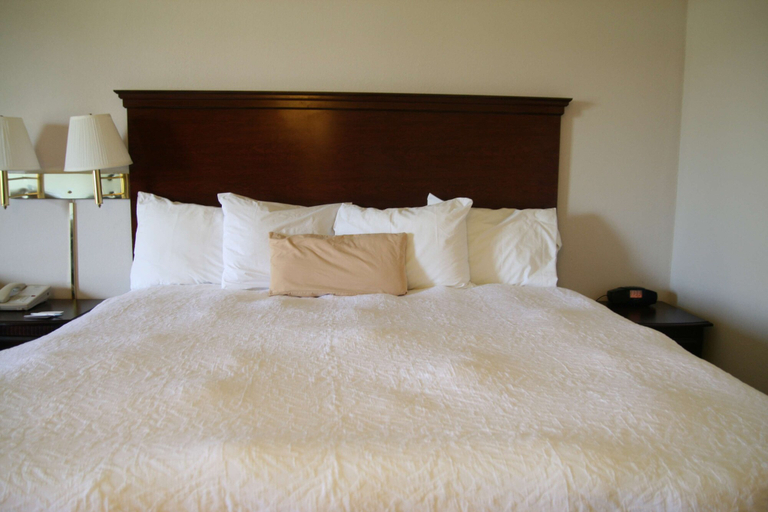 Bedroom 4, Hampton Inn Selinsgrove/Shamokin Dam, Snyder