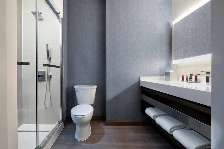 Bathroom 5, Dallas/Plano Marriott at Legacy Town Center, Collin