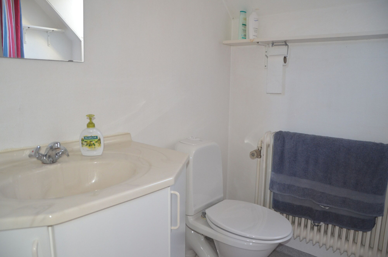 Bathroom 4, Lehnsgaard Ranch, Bornholm
