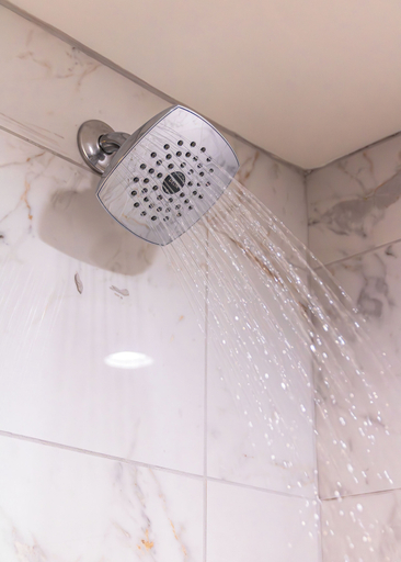 Bathroom 4, Par A Dice Hotel Casino, Tazewell