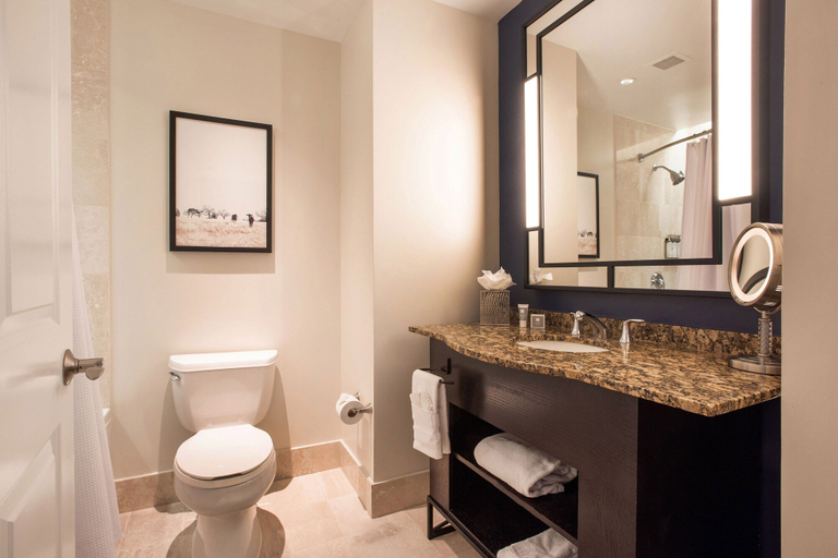 Bathroom 5, Magnolia Hotel Houston, A Tribute Portfolio Hotel, Houston